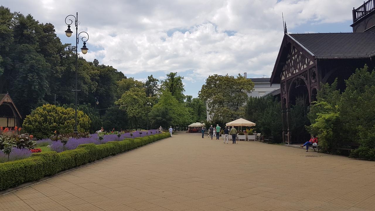 Wanda Apartment Щавно-Здруй Екстериор снимка